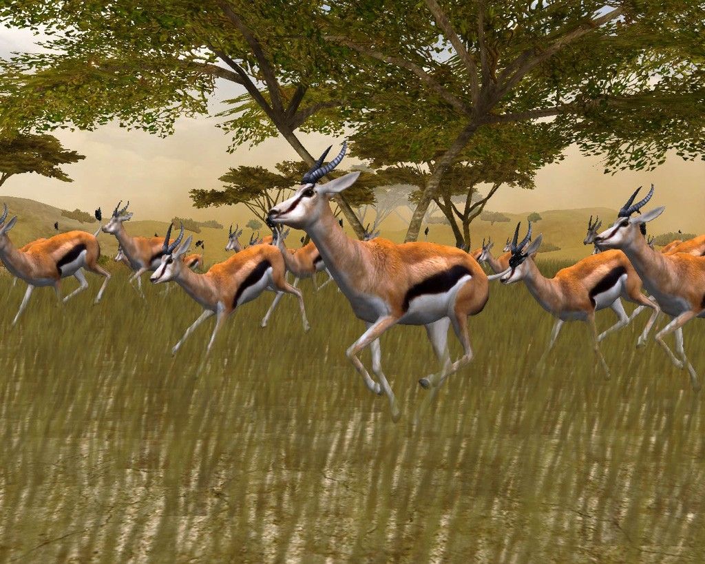 browning african safari game free download